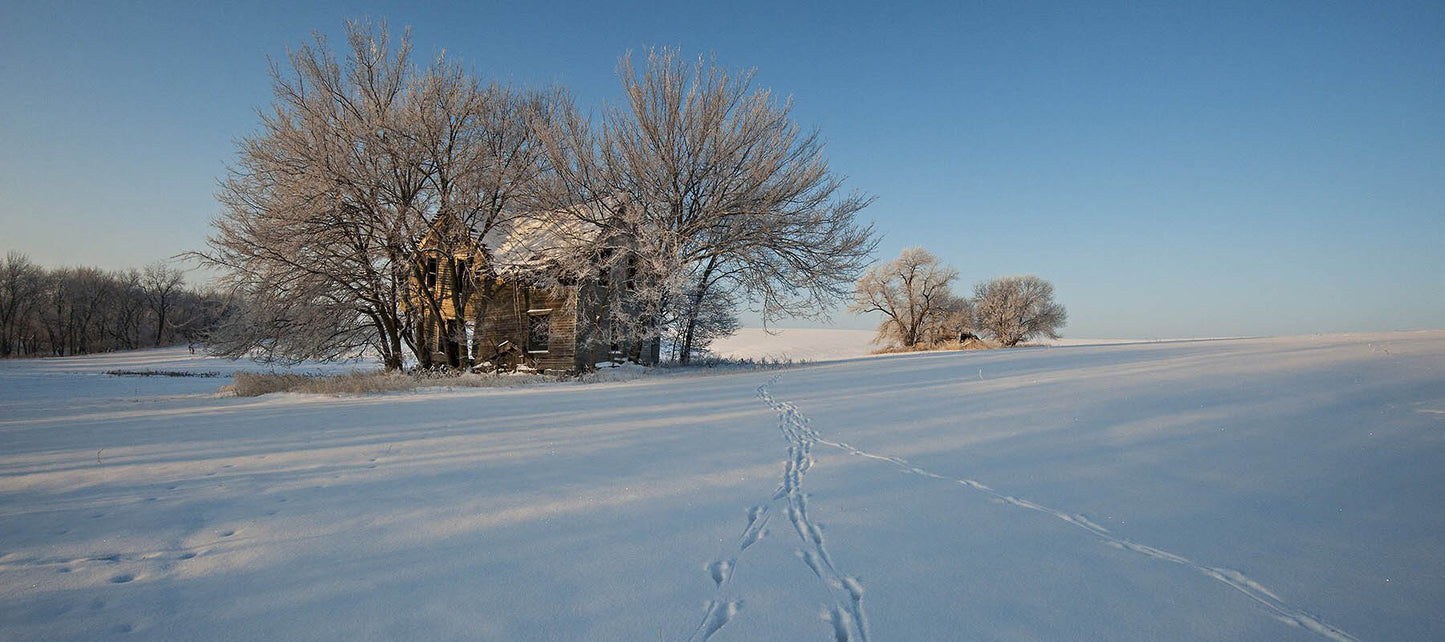 The Snowbound Anthology